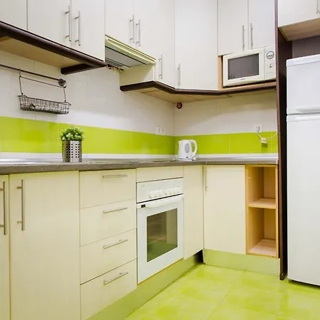 Apartments Holidays2Malaga City Center *